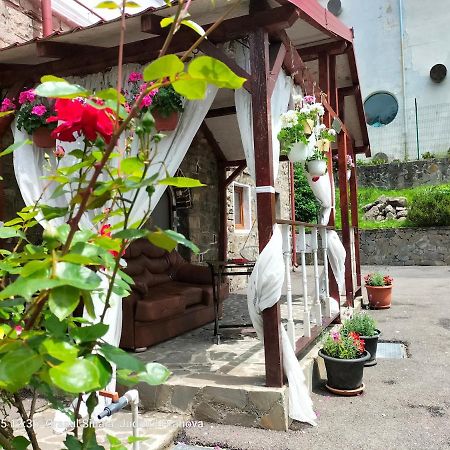 锡纳亚Casa Olguta公寓 外观 照片