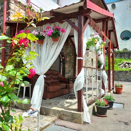锡纳亚Casa Olguta公寓 外观 照片
