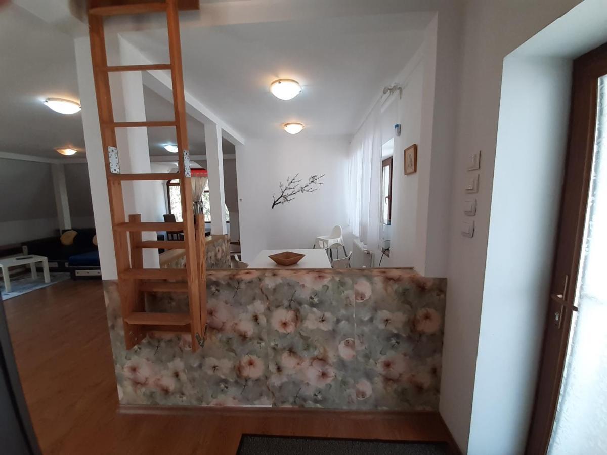 锡纳亚Casa Olguta公寓 外观 照片