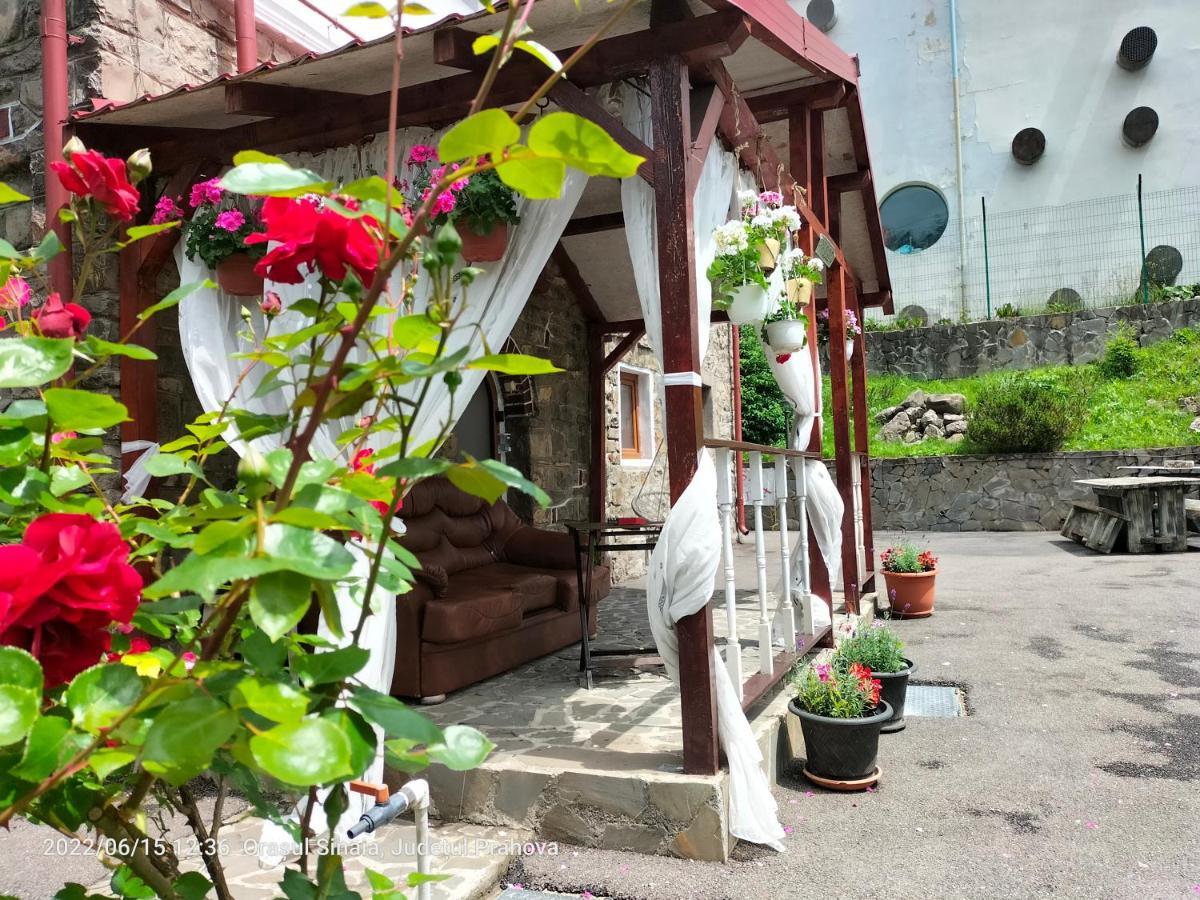 锡纳亚Casa Olguta公寓 外观 照片