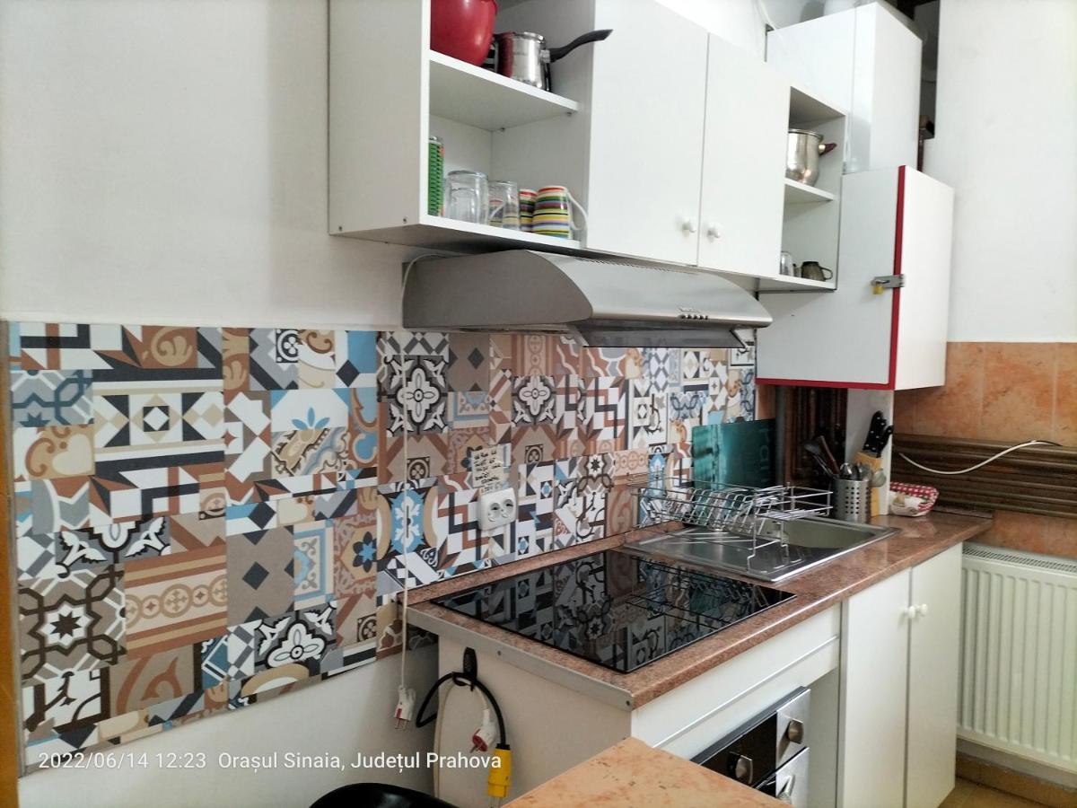 锡纳亚Casa Olguta公寓 外观 照片