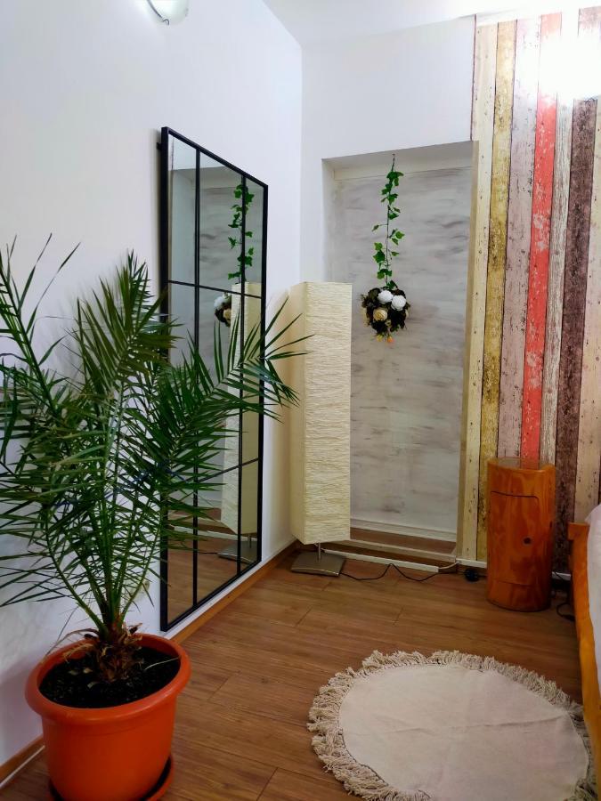 锡纳亚Casa Olguta公寓 外观 照片